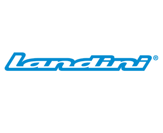 spare parts for Landini machineries